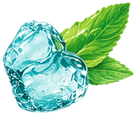 ice and leaf