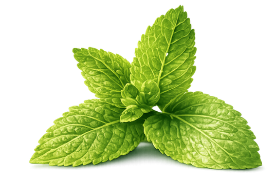 cooling leaves